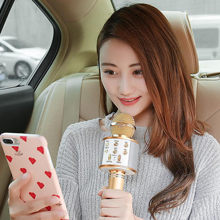 WS-858 Portable Wireless Karaoke Microphone with Speaker, Voice Effect, Recording, FM Radio, Supports TF Card/USB, Dual Connection (Bluetooth & Audio Cable), for Mobile/PC/Tablet, KTV Party Mic