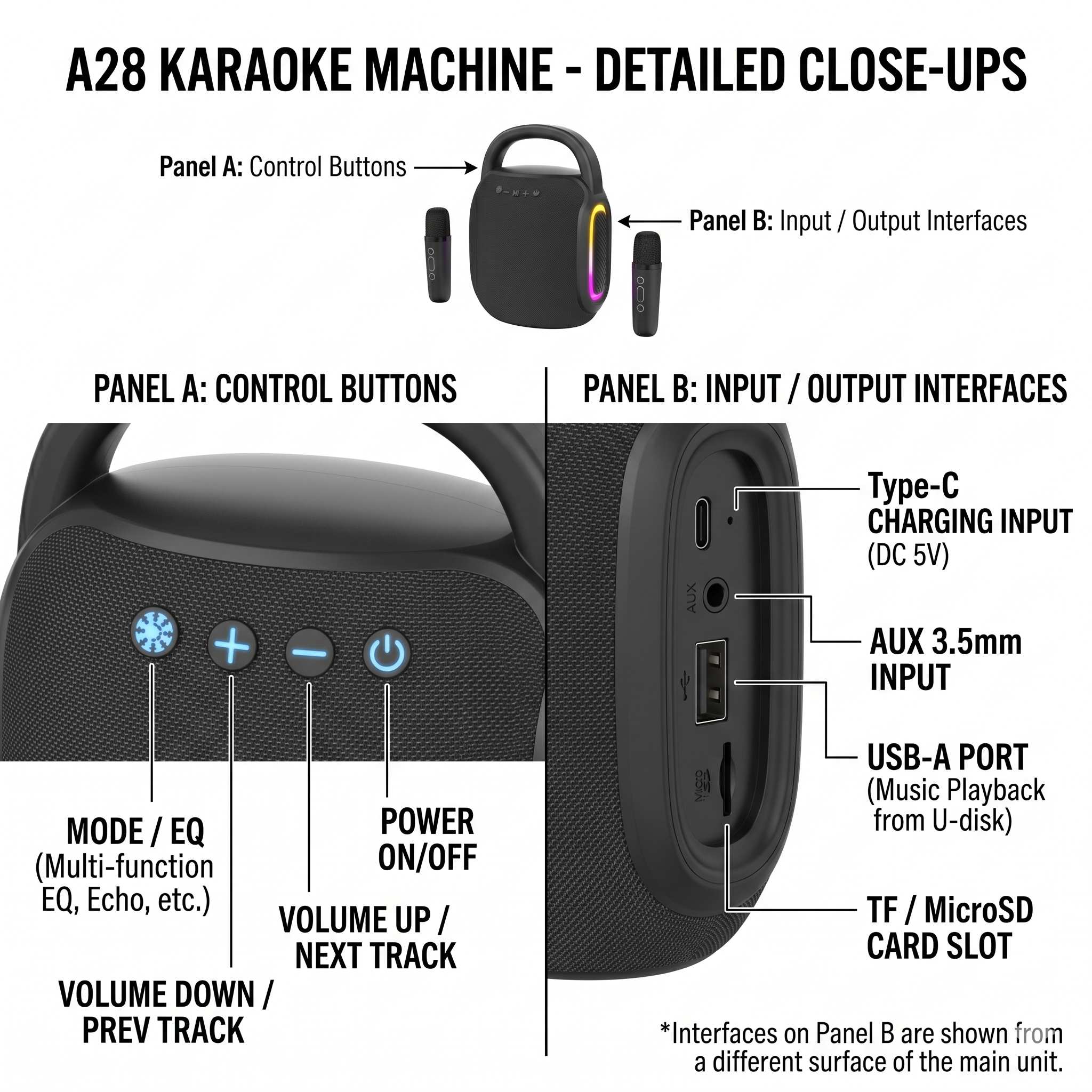 Party Speaker with Microphones